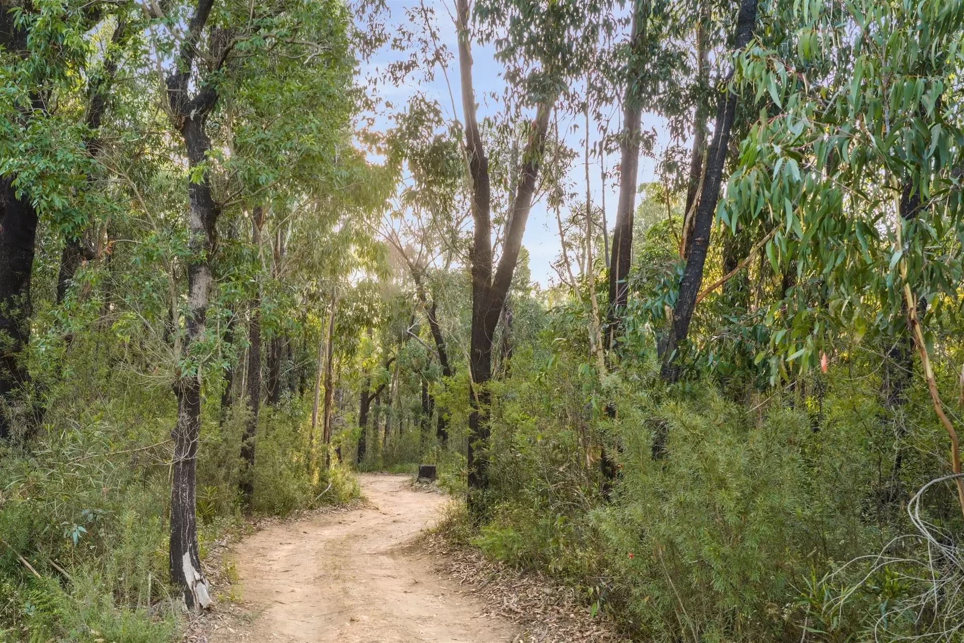 161 Teudts Road, Bundanoon, Bundanoon - Thumbnail 6