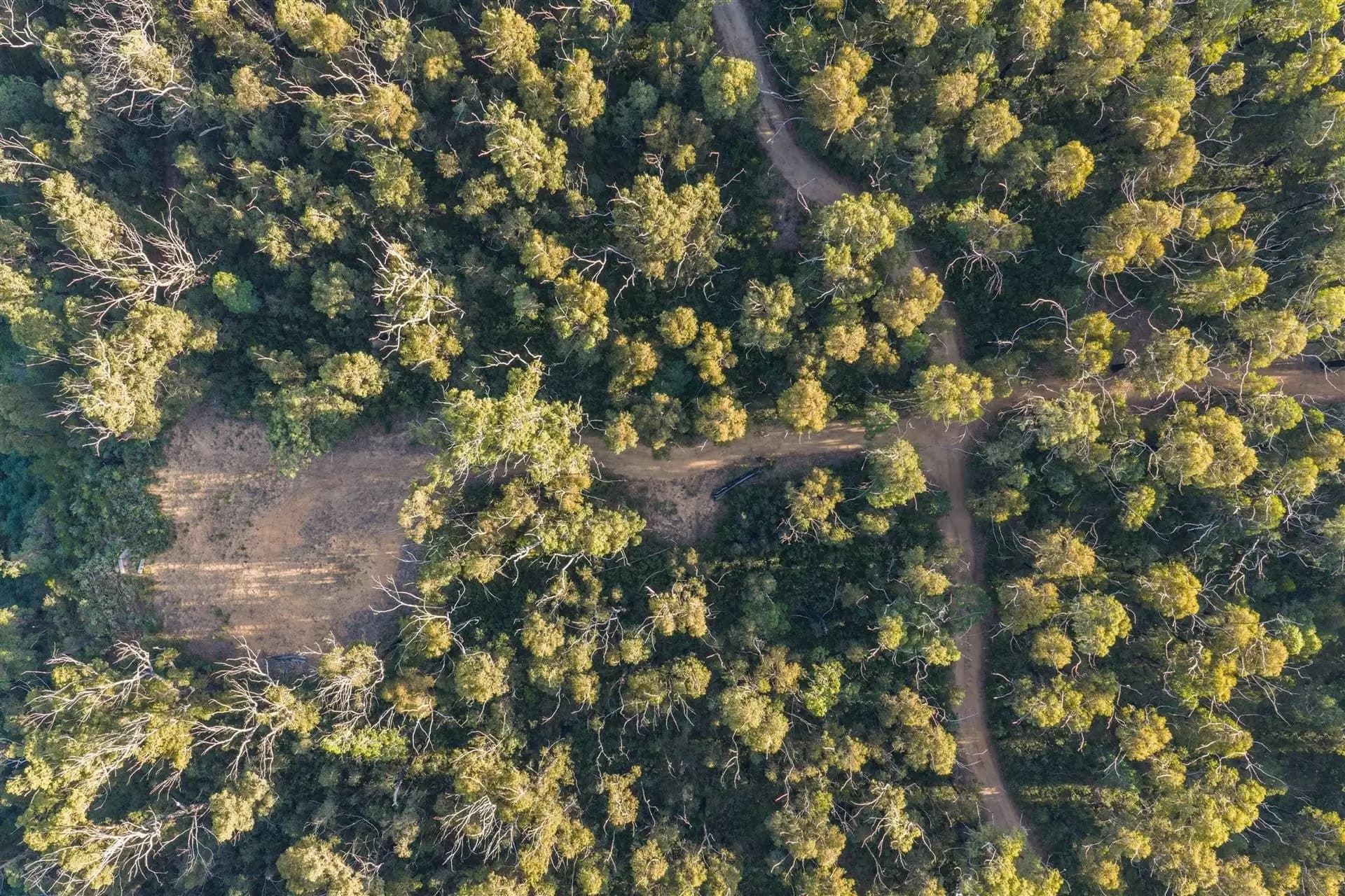 161 Teudts Road, Bundanoon, Bundanoon - Thumbnail 7