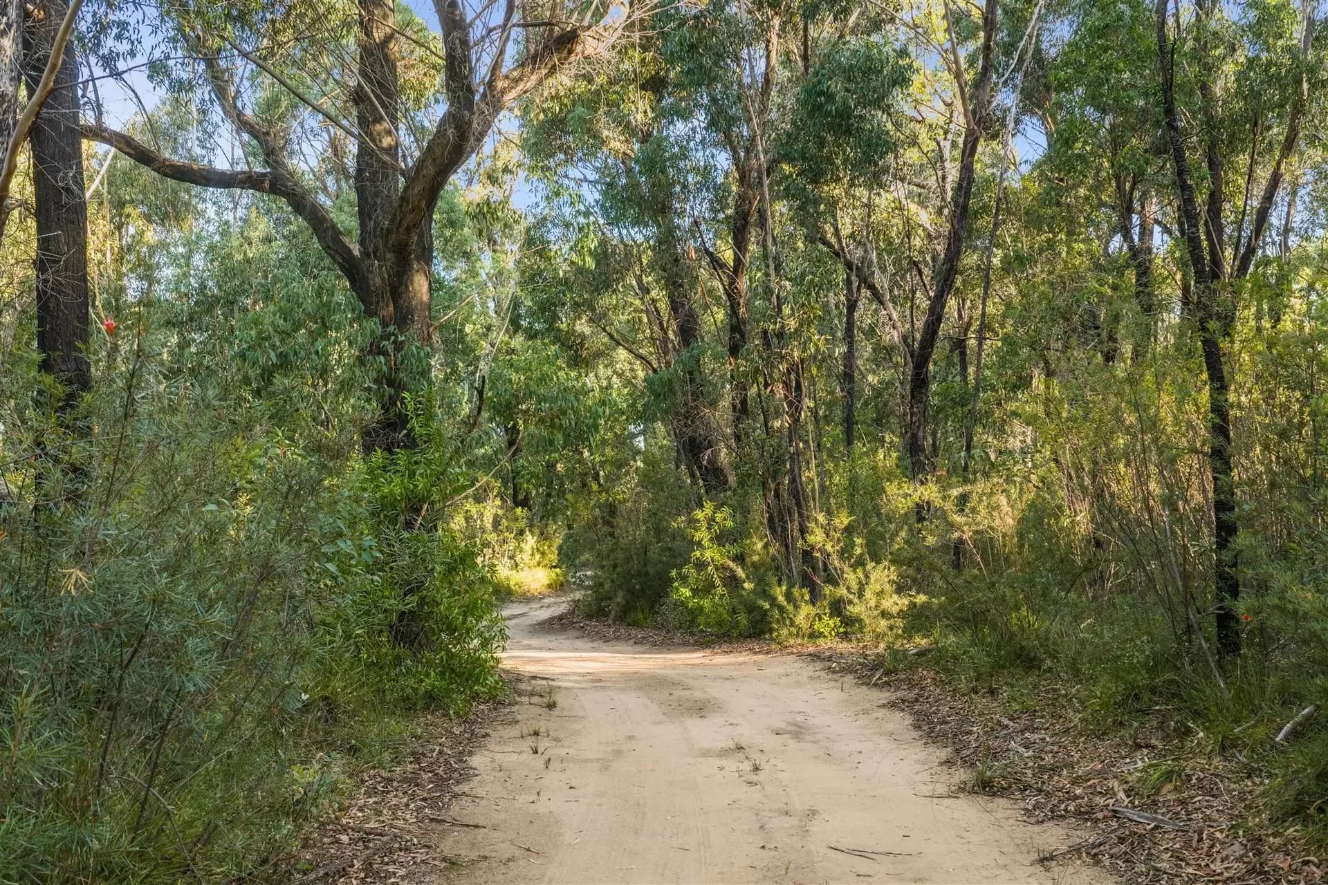 161 Teudts Road, Bundanoon, Bundanoon - Thumbnail 8