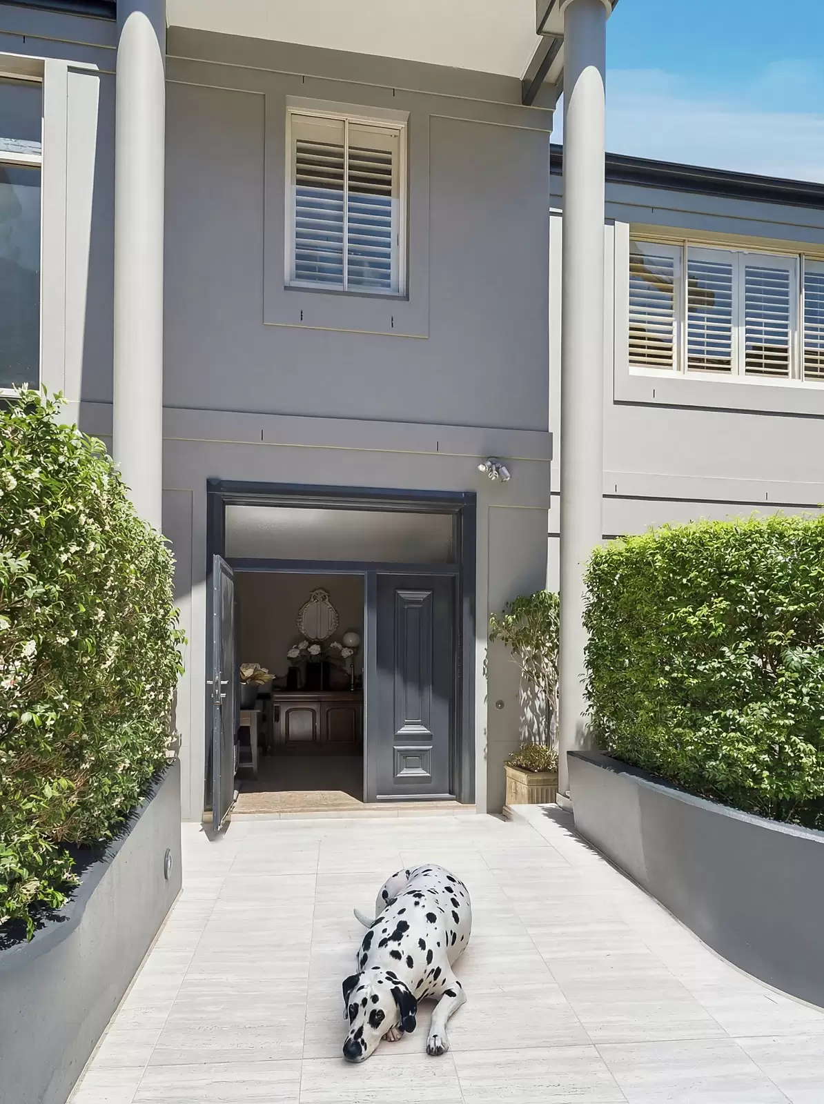 1/17A Cooper Park Road, Bellevue Hill, Bellevue Hill - Thumbnail 7