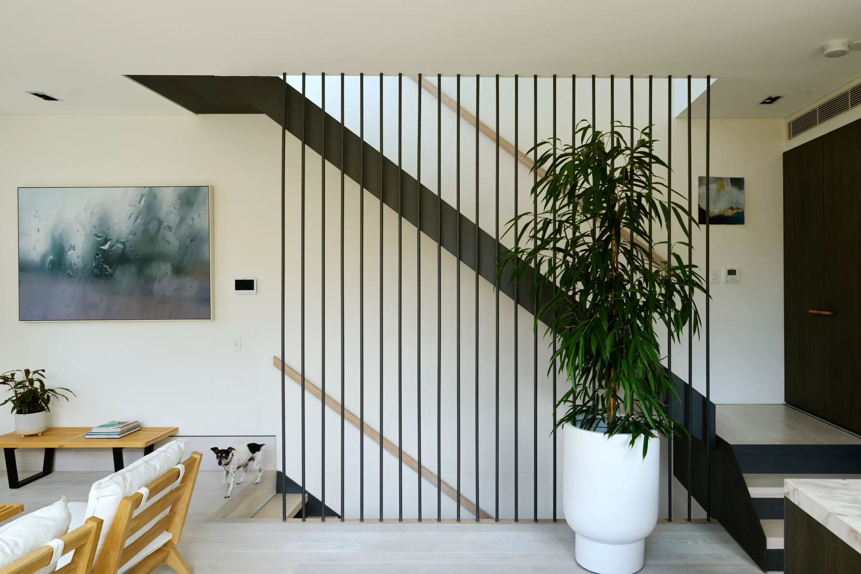 155 Riley Street, Darlinghurst, Darlinghurst - Thumbnail 8