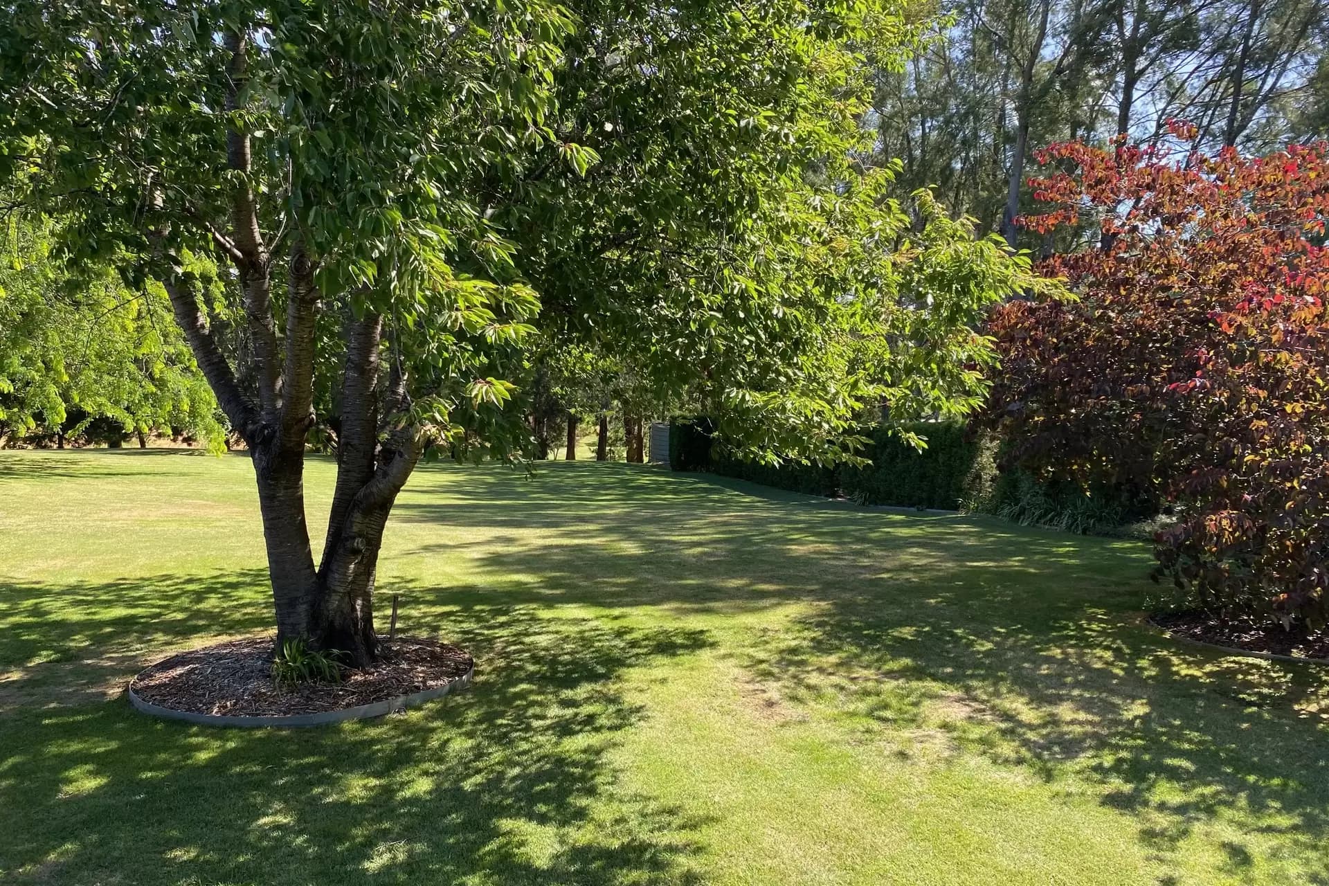33 Phillip Street, Burradoo, Burradoo - Thumbnail 6