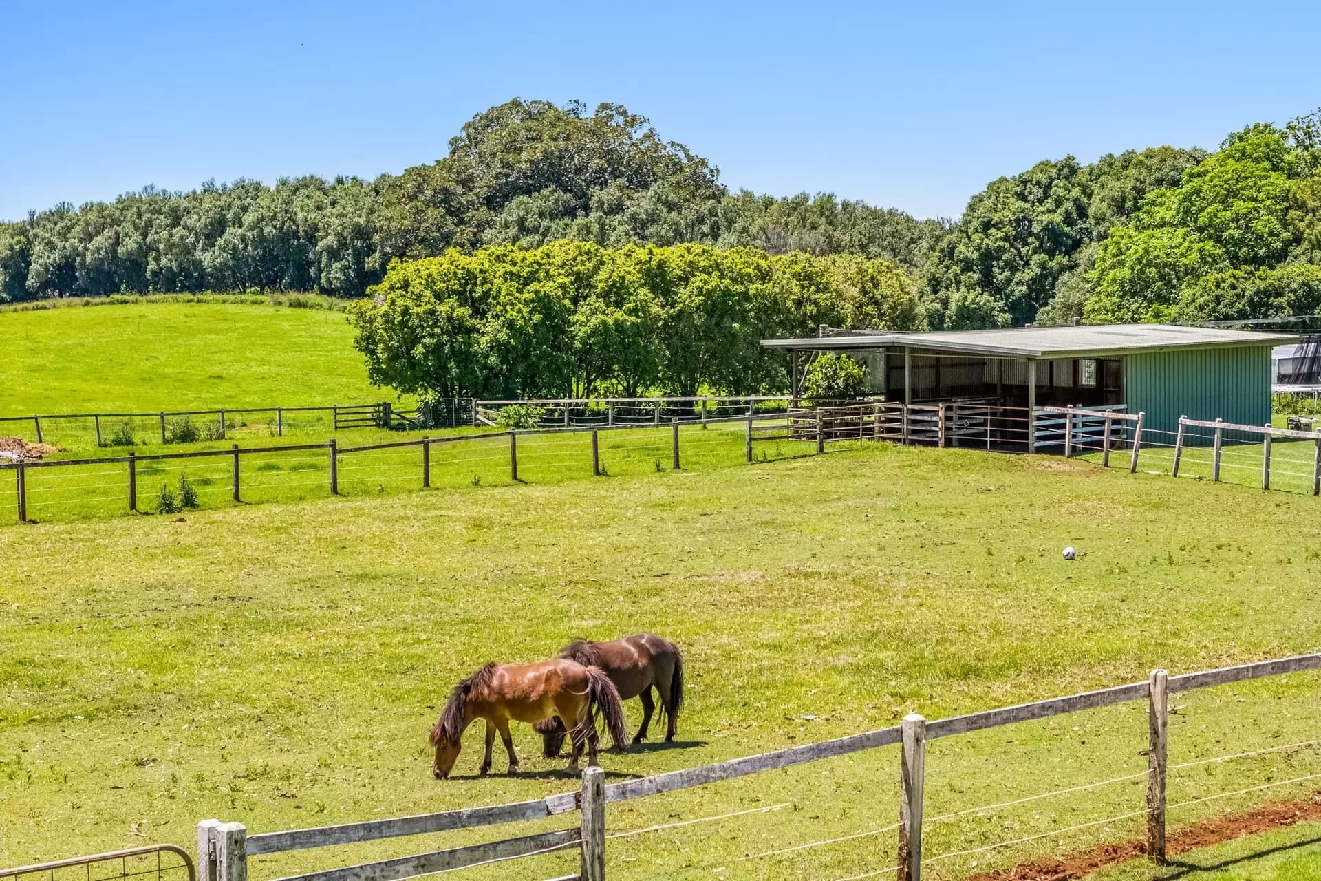 836 Fernleigh Road, Brooklet, Brooklet - Thumbnail 4