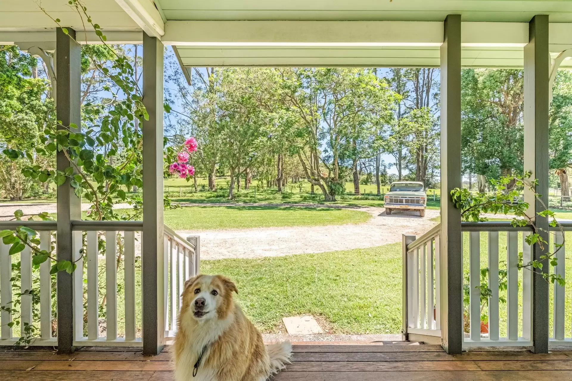 836 Fernleigh Road, Brooklet, Brooklet - Thumbnail 5