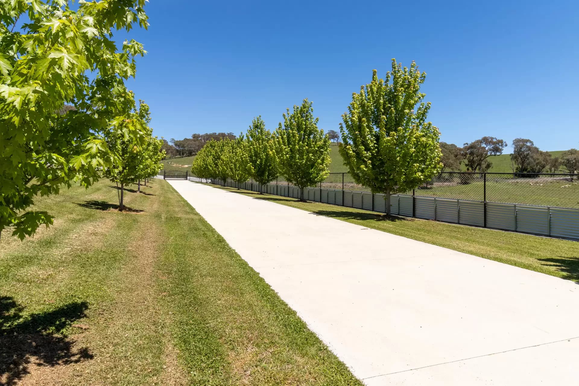 1557 Rockley Road, Fosters Valley, Fosters Valley - Thumbnail 4