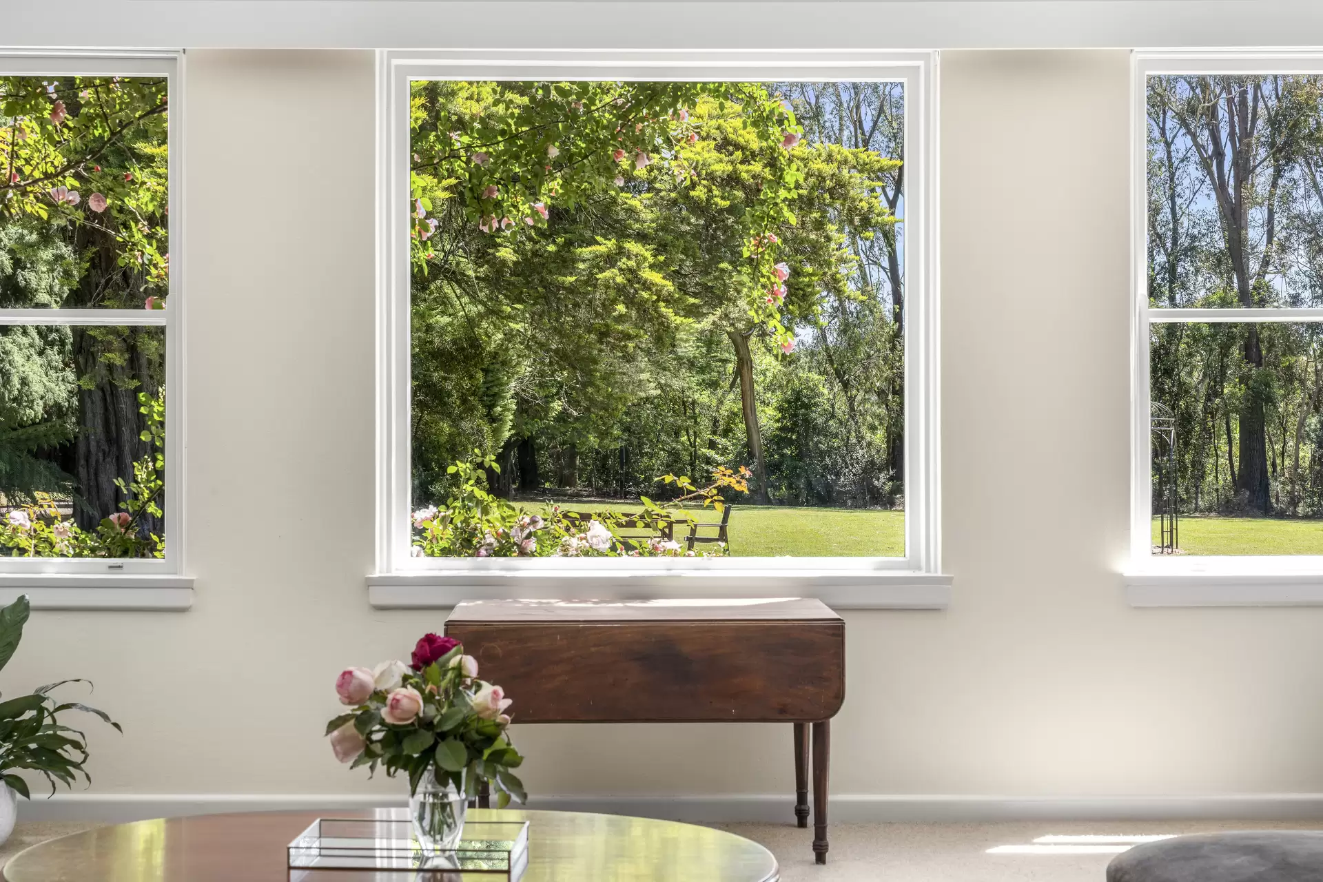 55 Somerset Road, Fitzroy Falls, Fitzroy Falls - Thumbnail 4
