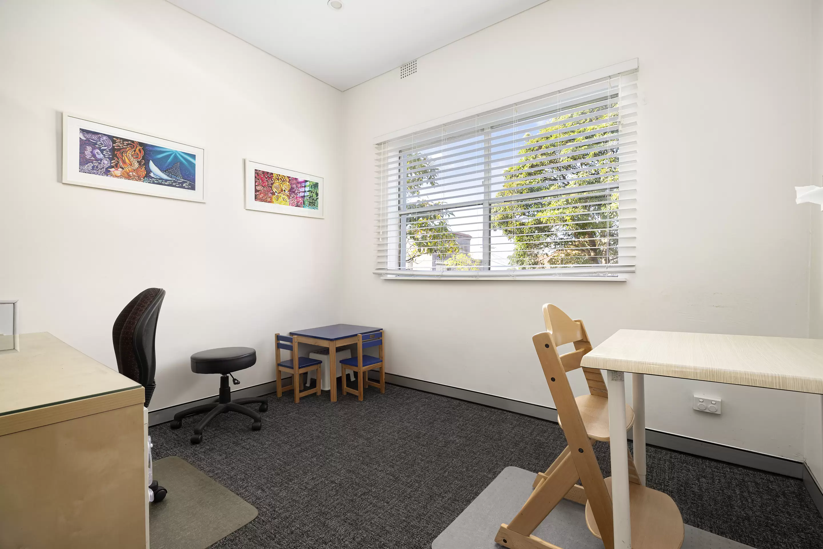 48B Canberra Street, Randwick, Randwick - Thumbnail 4