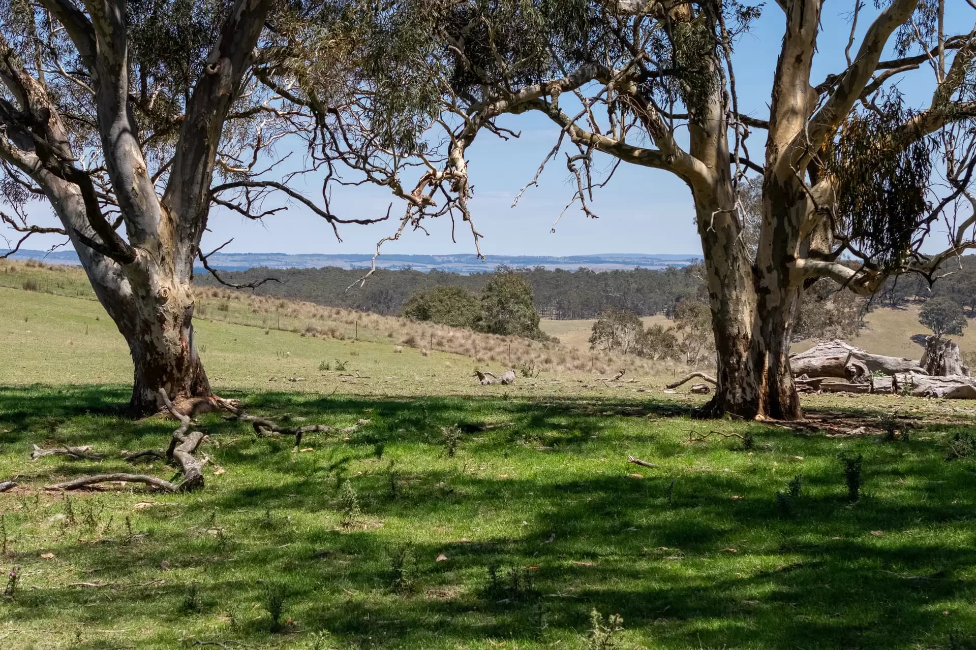 1171 Golspie Road, Taralga, Taralga - Thumbnail 3