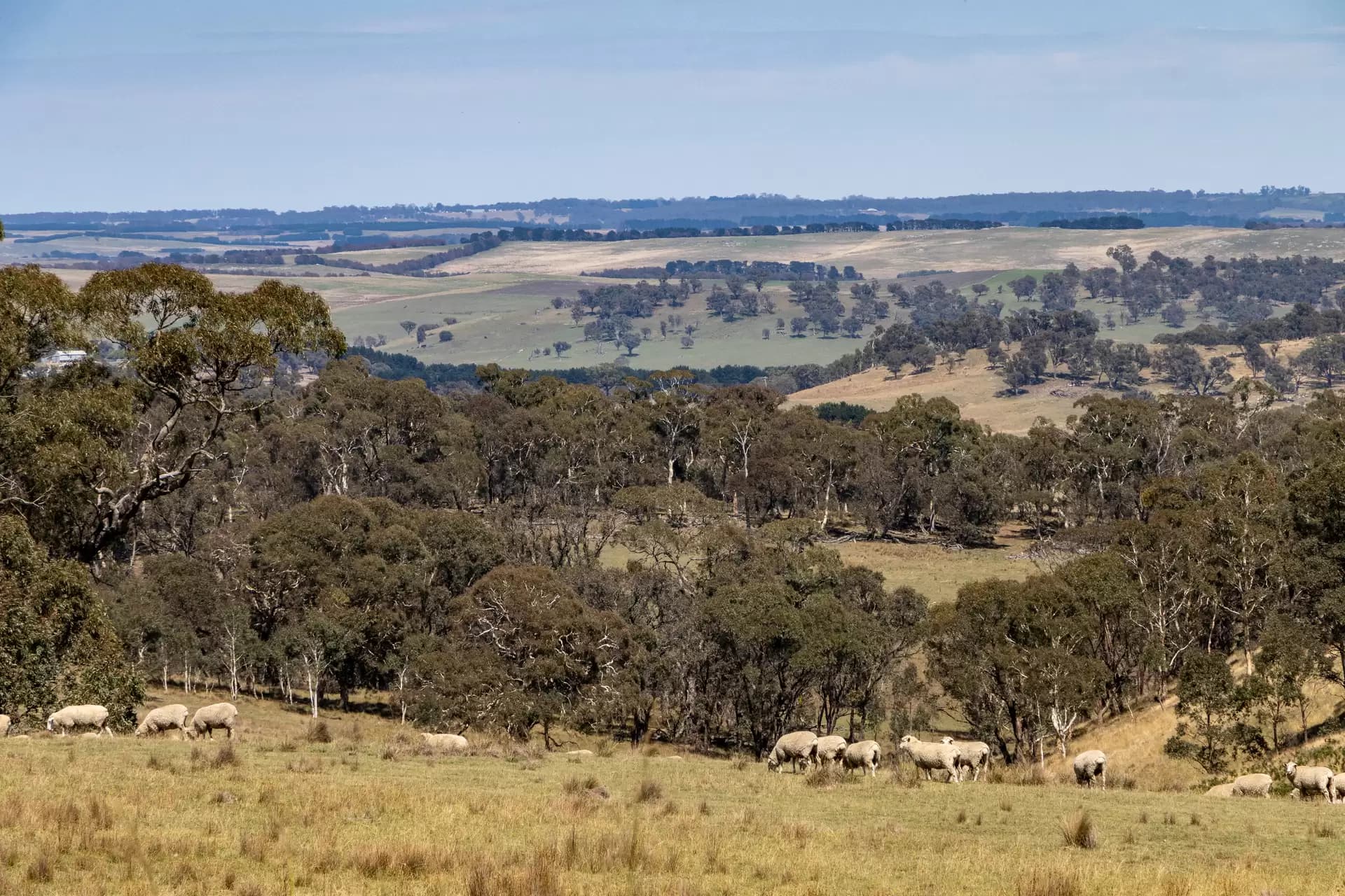 1171 Golspie Road, Taralga, Taralga - Thumbnail 6