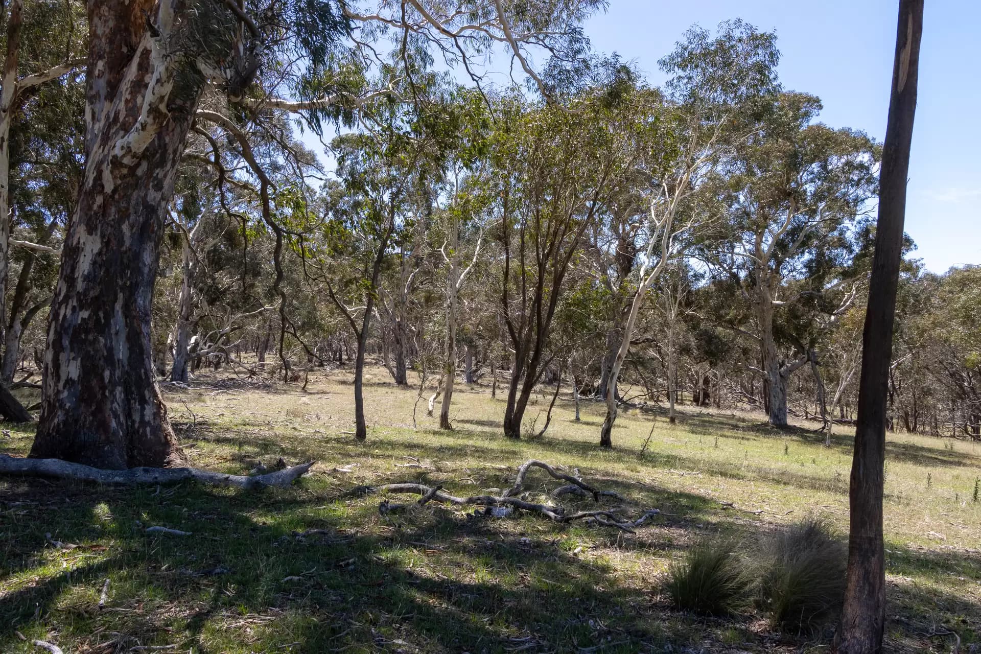 1171 Golspie Road, Taralga, Taralga - Thumbnail 7