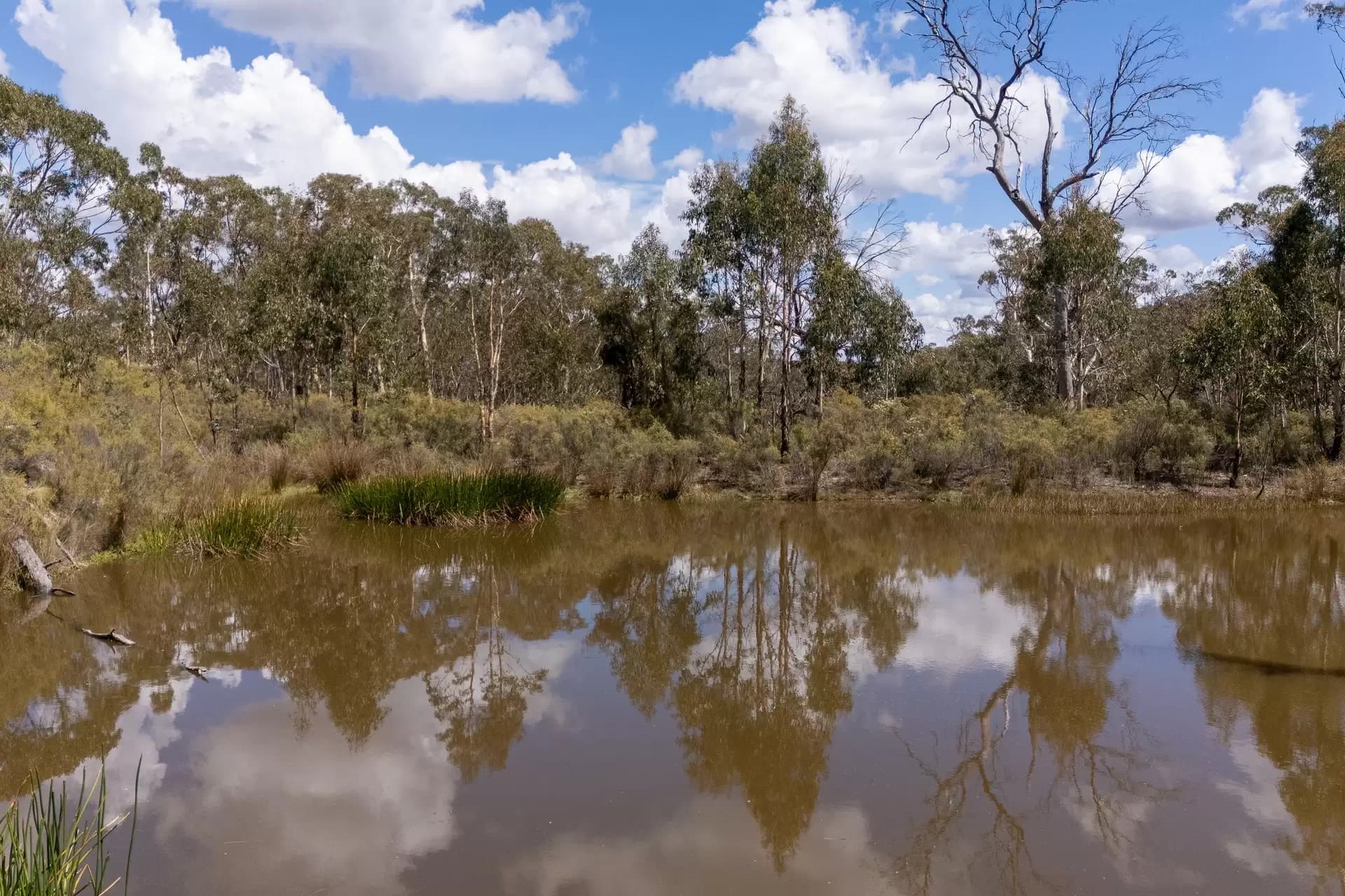 140 Greenridge Road, Taralga, Taralga - Thumbnail 5