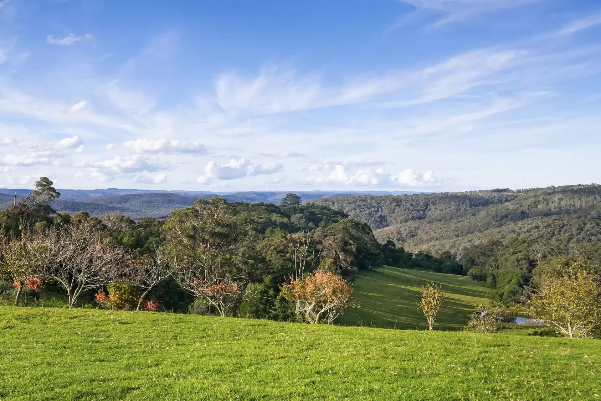 1639 Caoura Road, Tallong, Tallong - Thumbnail 3