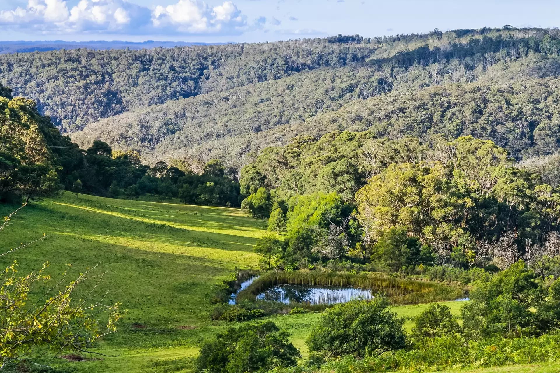 1639 Caoura Road, Tallong, Tallong - Thumbnail 4