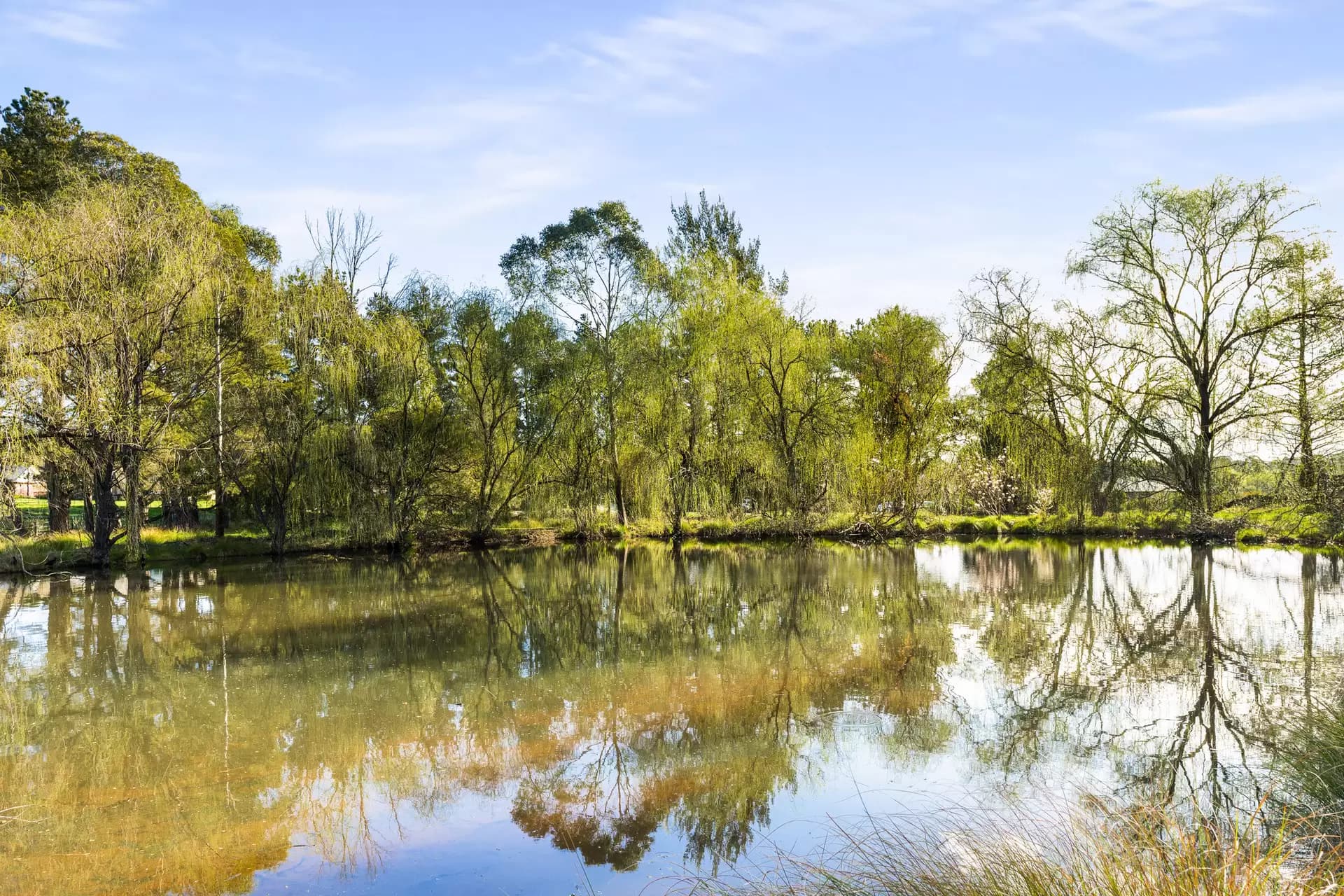 280 Kangaloon Road, Bowral, Bowral - Thumbnail 3