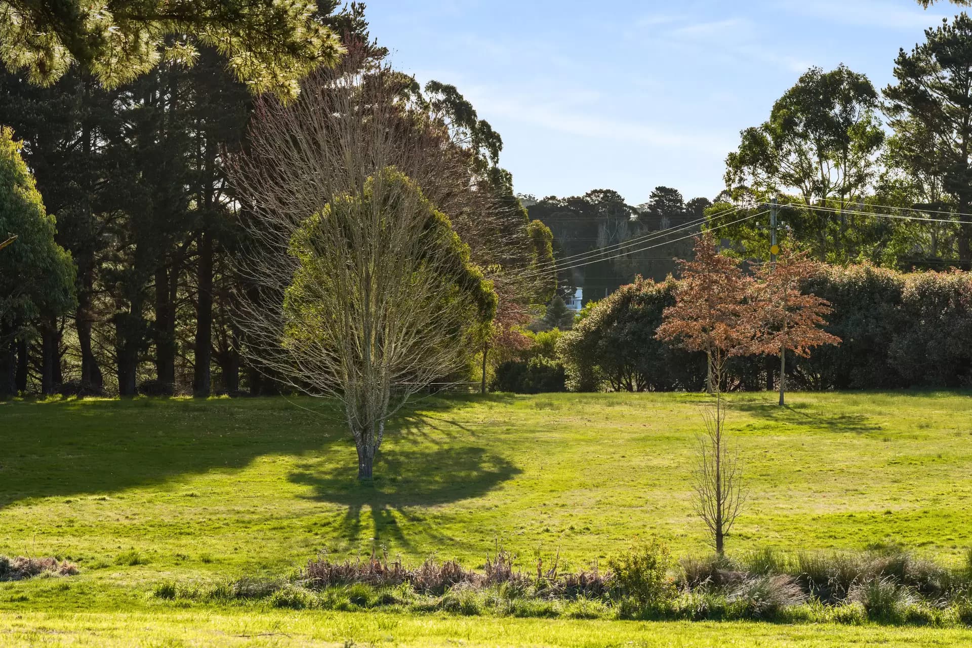 280 Kangaloon Road, Bowral, Bowral - Thumbnail 4