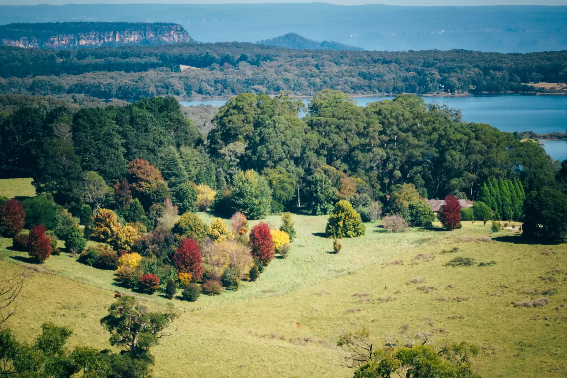421 Myra Vale Road, Wildes Meadow, Wildes Meadow - Thumbnail 2