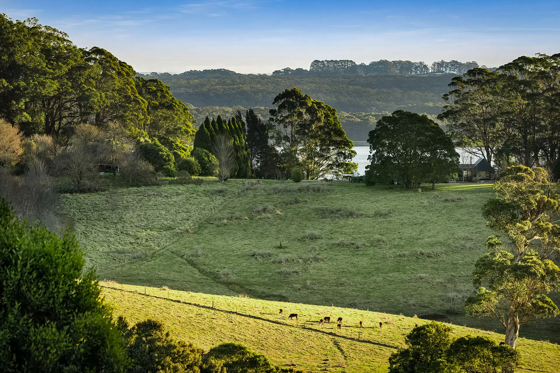 421 Myra Vale Road, Wildes Meadow, Wildes Meadow - Thumbnail 3