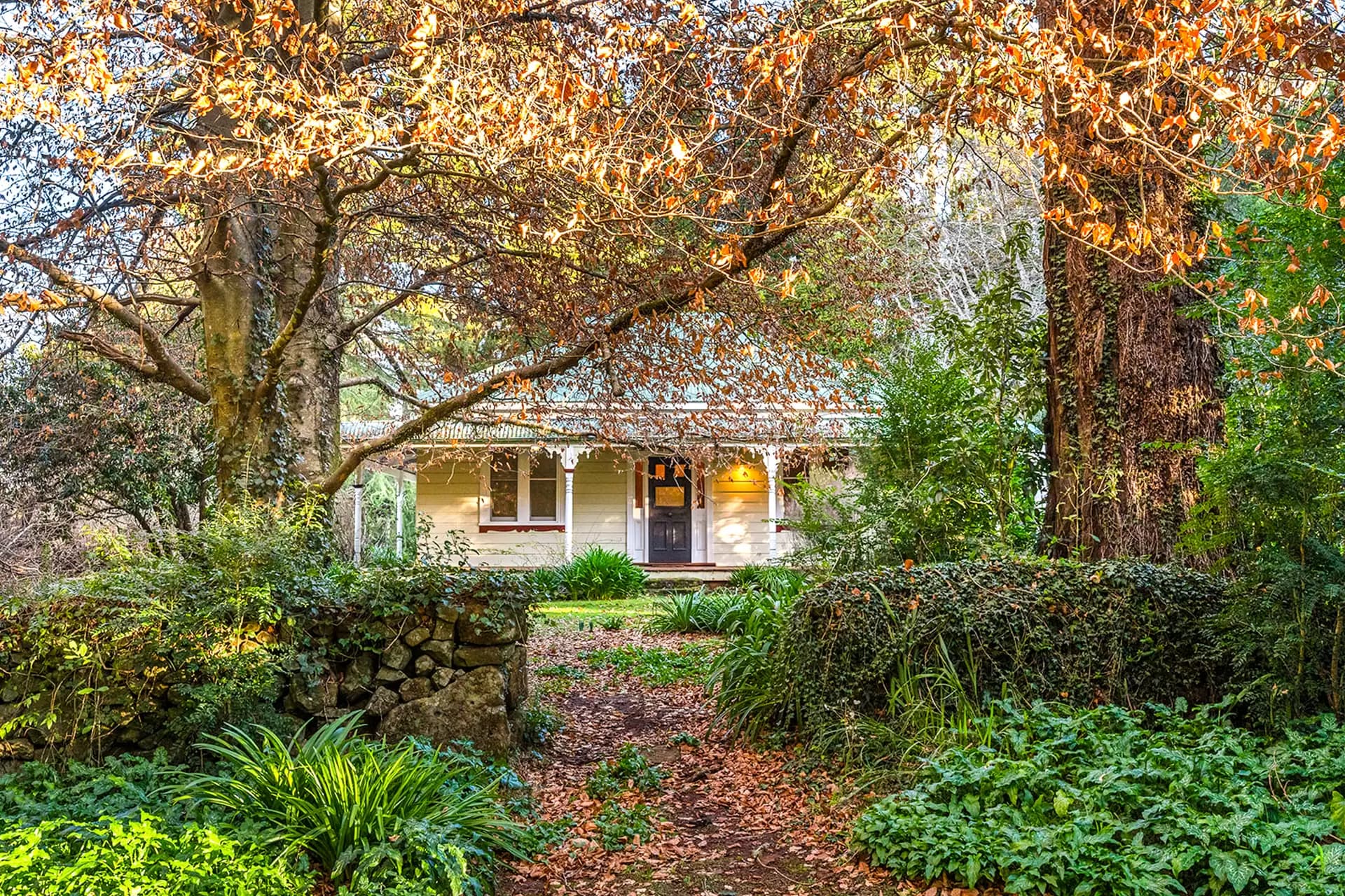 421 Myra Vale Road, Wildes Meadow, Wildes Meadow - Thumbnail 5