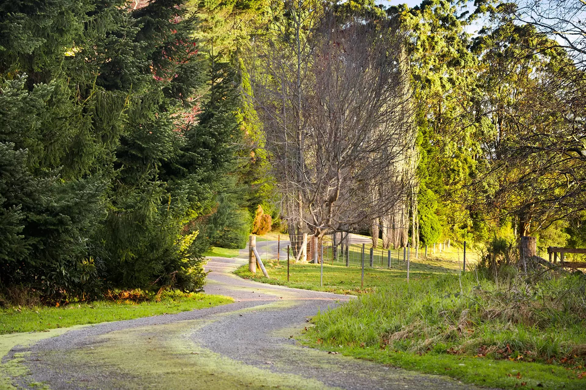 421 Myra Vale Road, Wildes Meadow, Wildes Meadow - Thumbnail 8