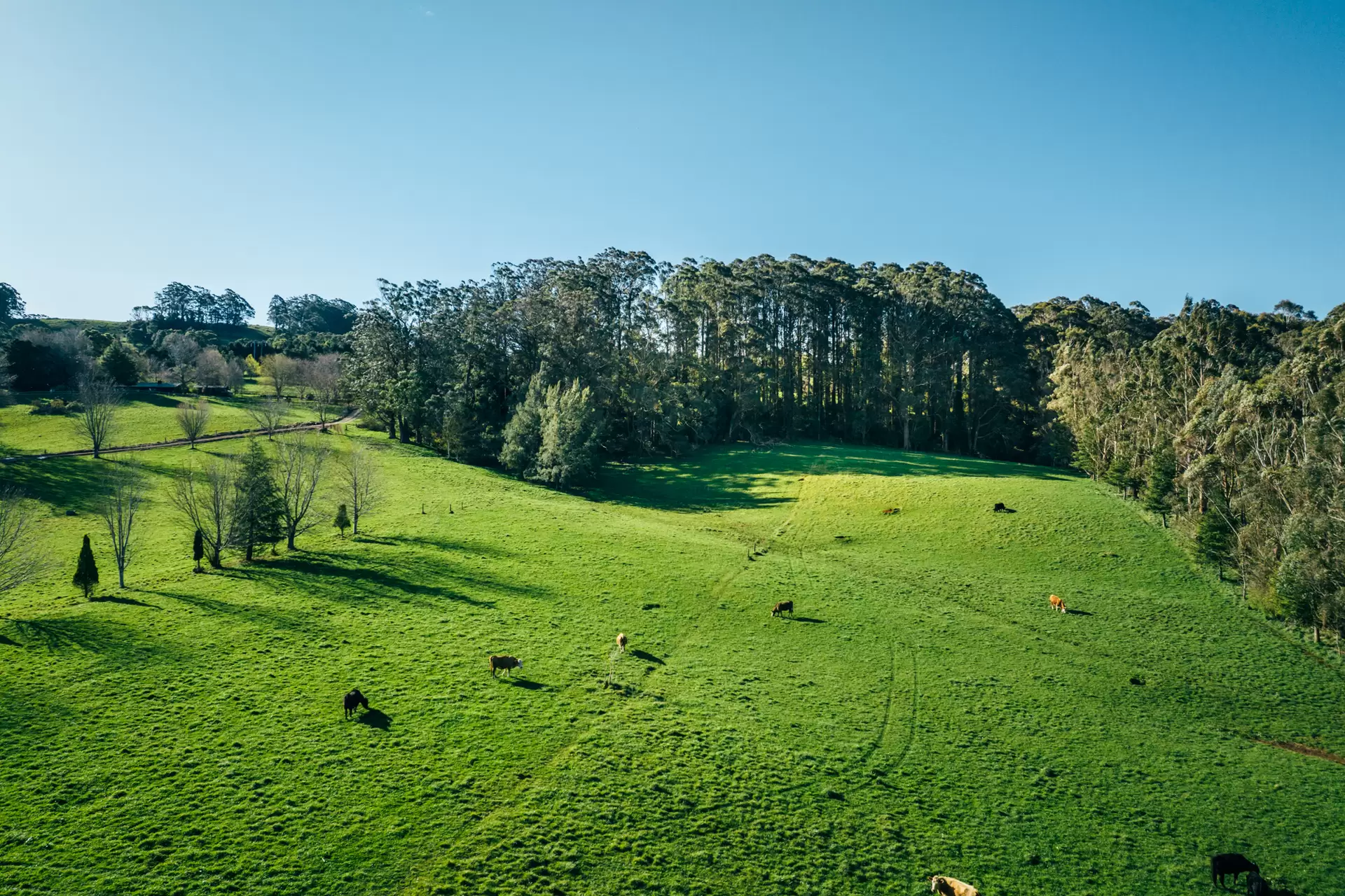 Lot 2/265 Wildes Meadow Road, Wildes Meadow, Wildes Meadow - Image 1