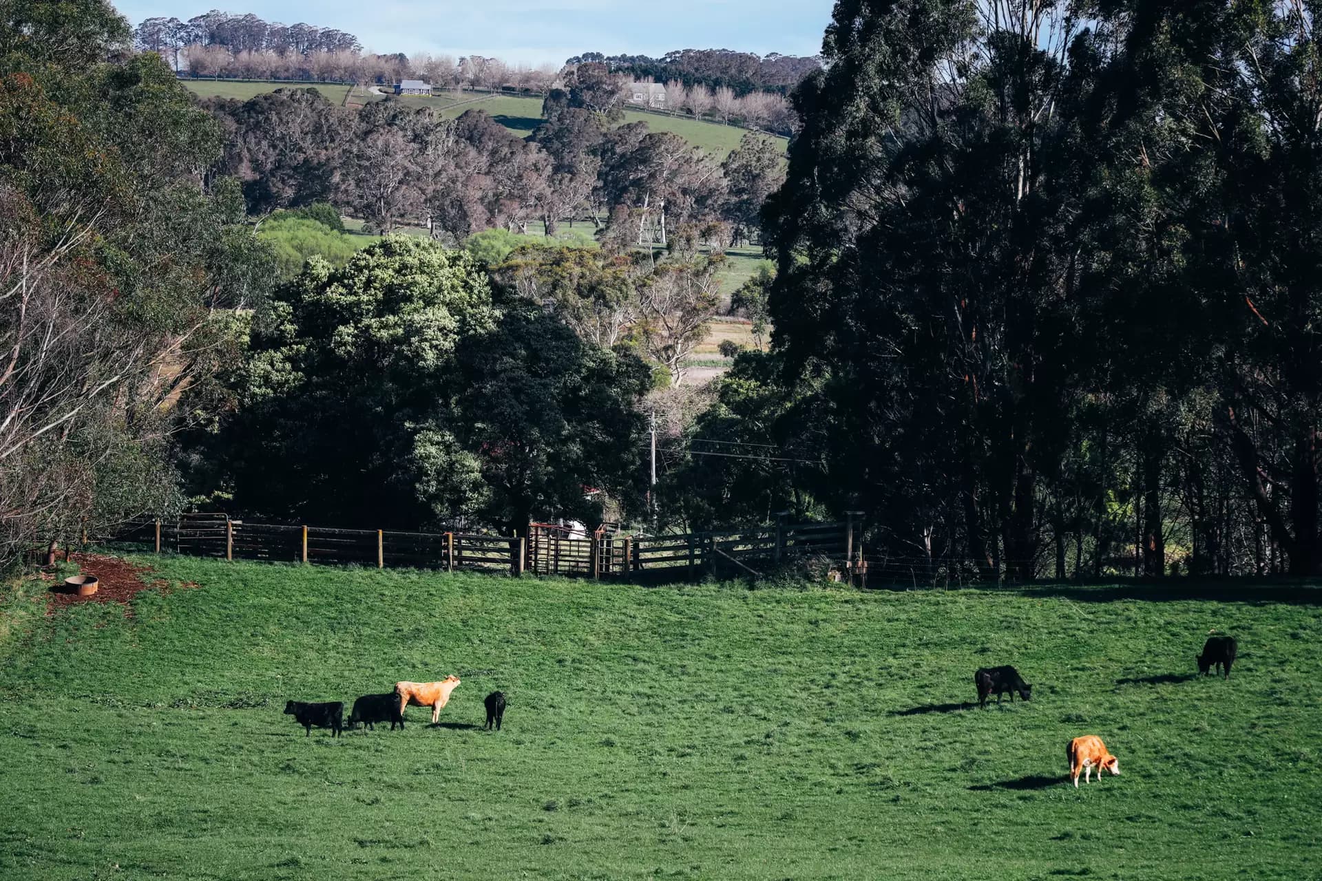 Lot 2/265 Wildes Meadow Road, Wildes Meadow, Wildes Meadow - Thumbnail 4
