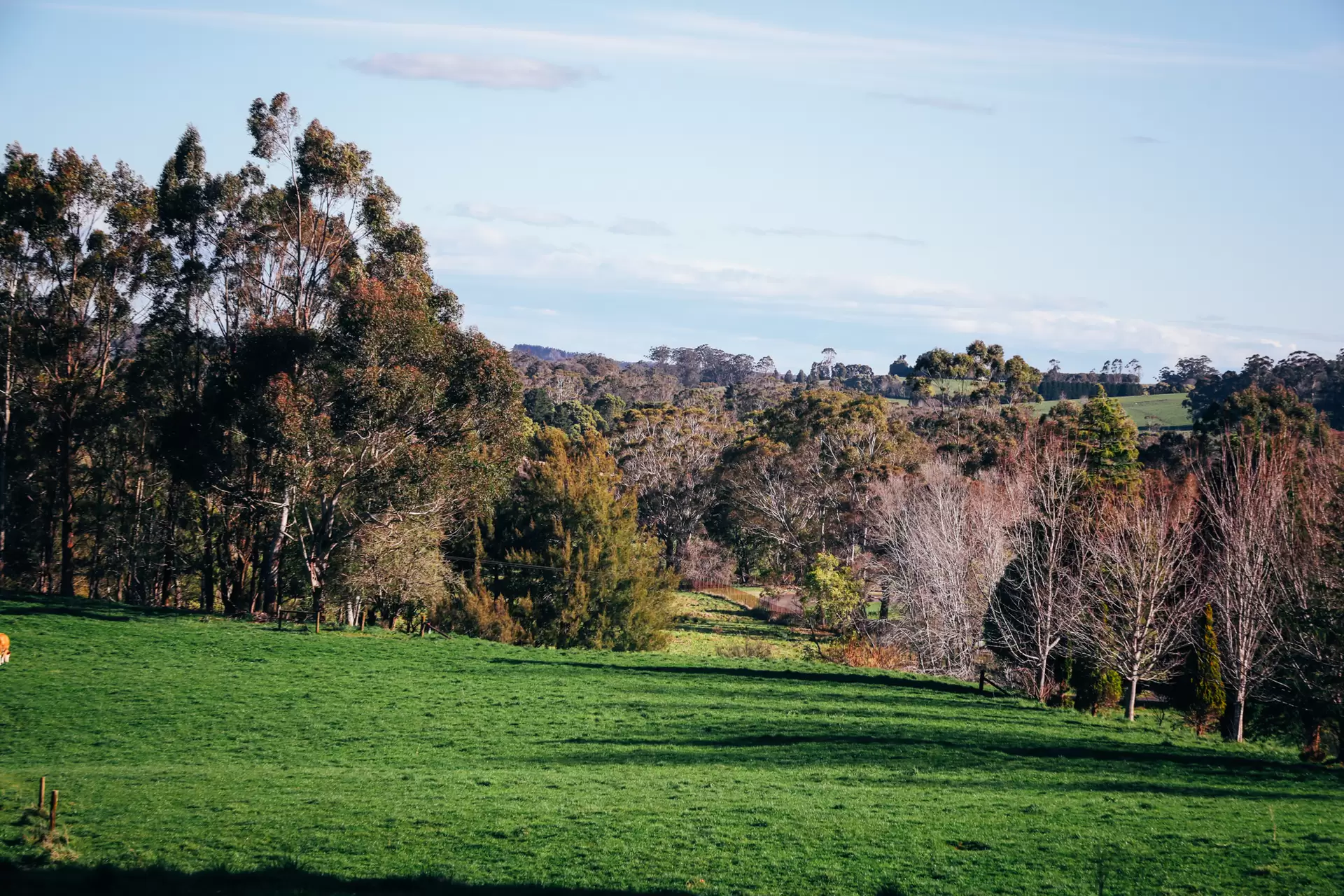 Lot 2/265 Wildes Meadow Road, Wildes Meadow, Wildes Meadow - Thumbnail 5