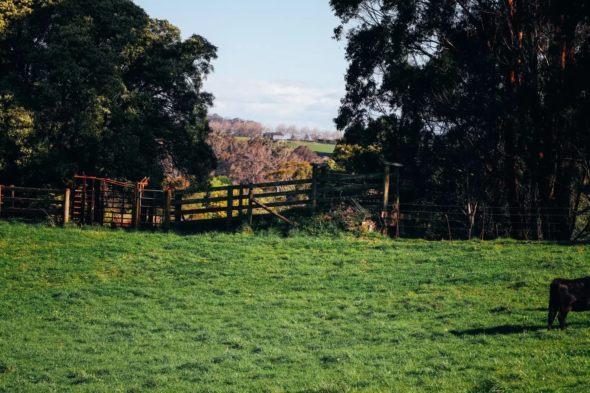 Lot 2/265 Wildes Meadow Road, Wildes Meadow, Wildes Meadow - Thumbnail 6