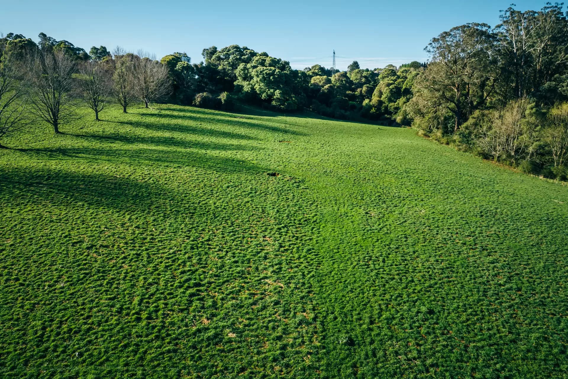 Lot 2/265 Wildes Meadow Road, Wildes Meadow, Wildes Meadow - Thumbnail 7