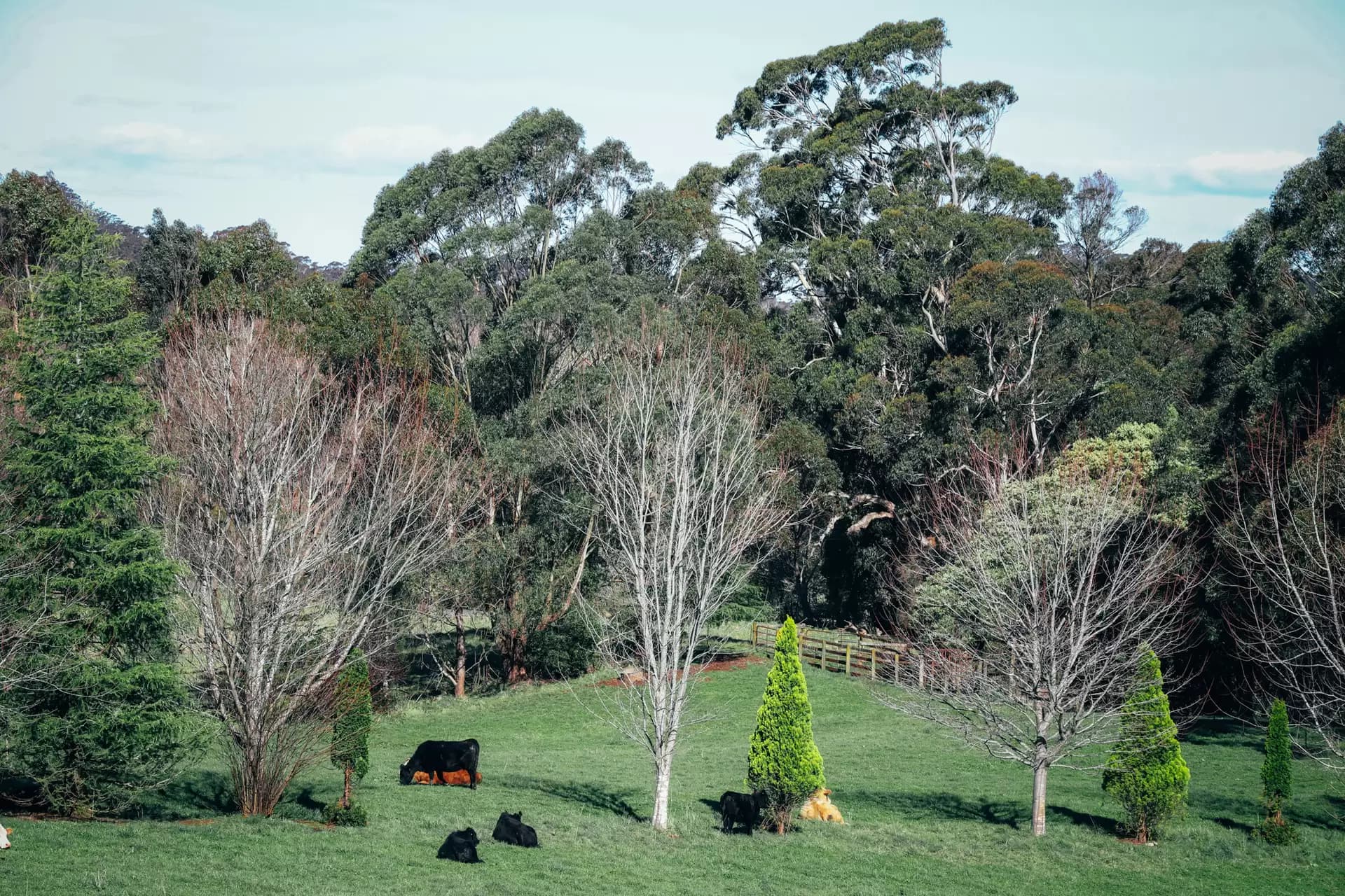 Lot 2/265 Wildes Meadow Road, Wildes Meadow, Wildes Meadow - Thumbnail 8