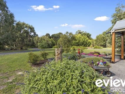 320 Almurta-Glen Forbes Road, Almurta, VIC, 3979, Almurta - Thumbnail 6