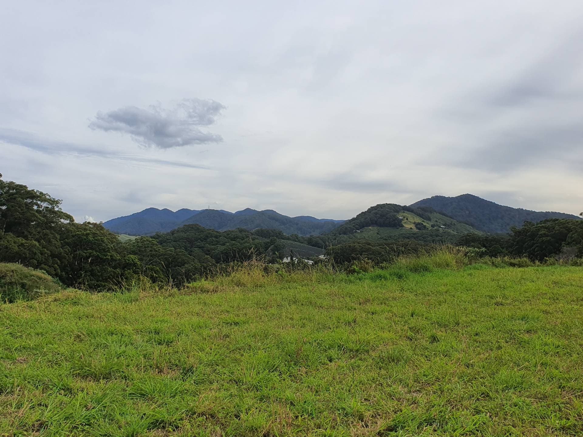32 Song Trail, Coffs Harbour NSW 2450, Coffs Harbour - Thumbnail 2
