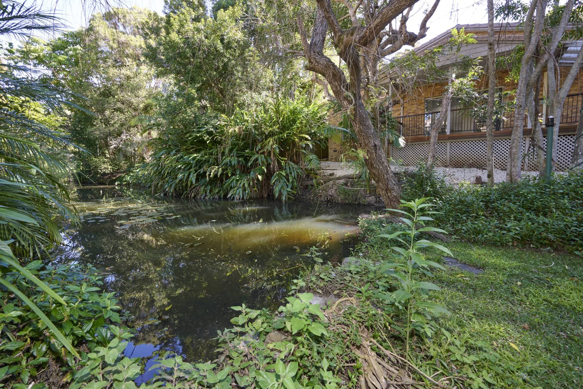 40 James Small Dr, Korora - Thumbnail 3