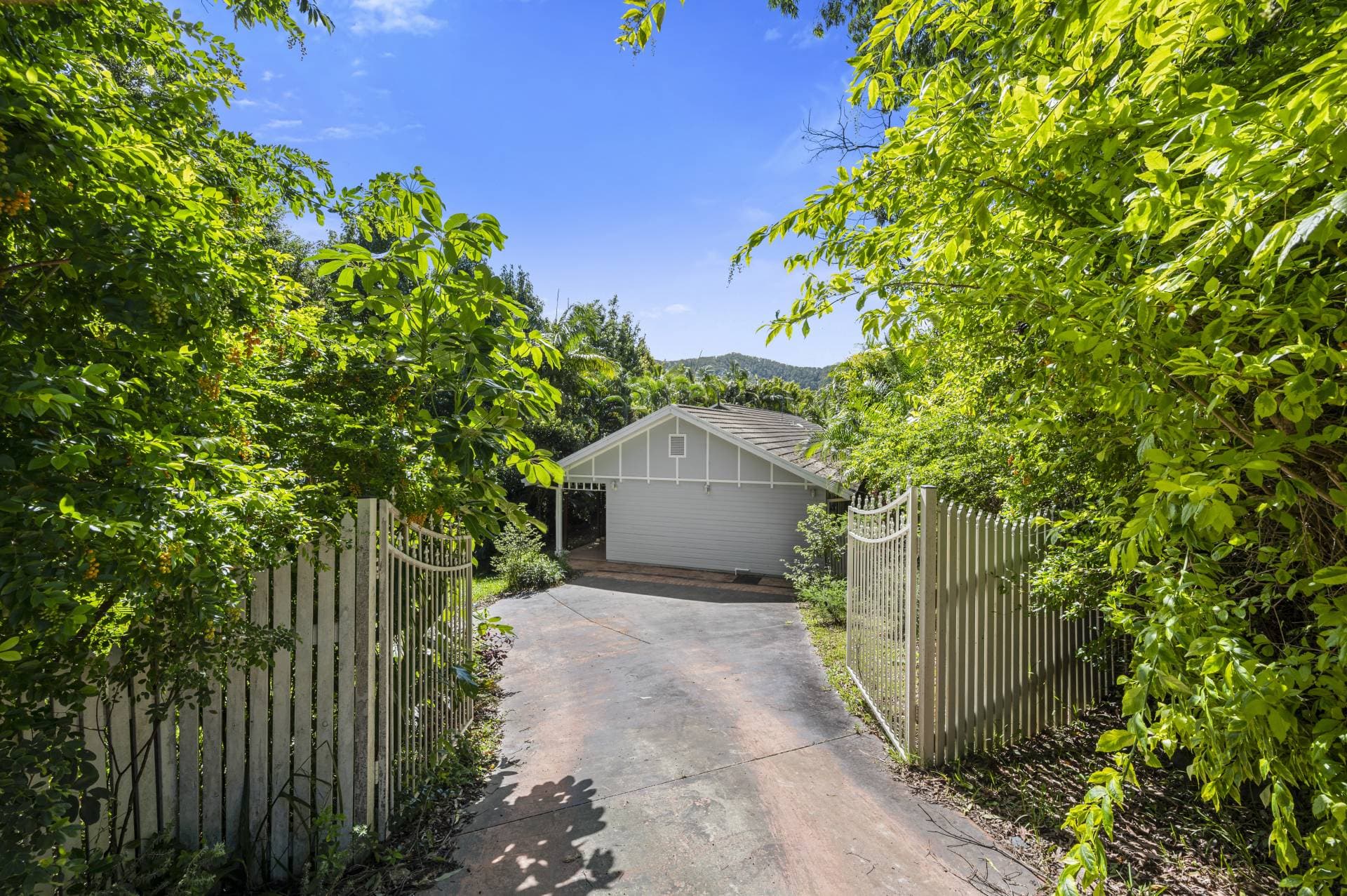 194 Coramba Rd, Coffs Harbour - Thumbnail 3