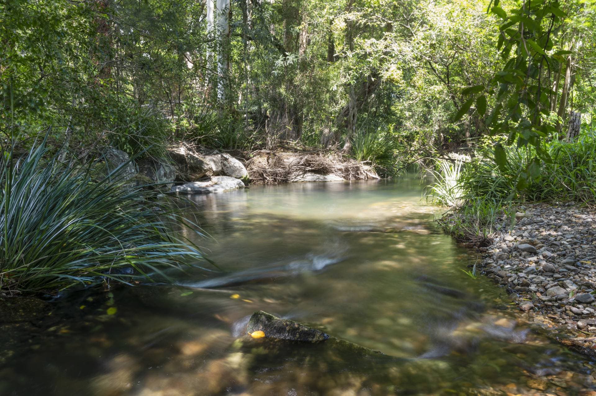 Bonville NSW 2450, Bonville - Thumbnail 6