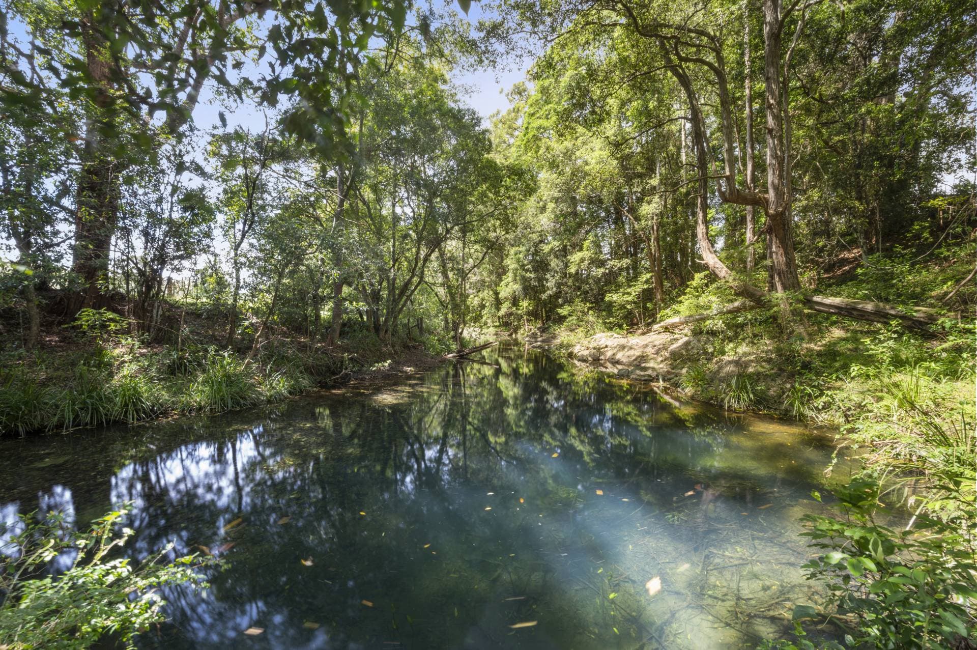 Bonville NSW 2450, Bonville - Thumbnail 7
