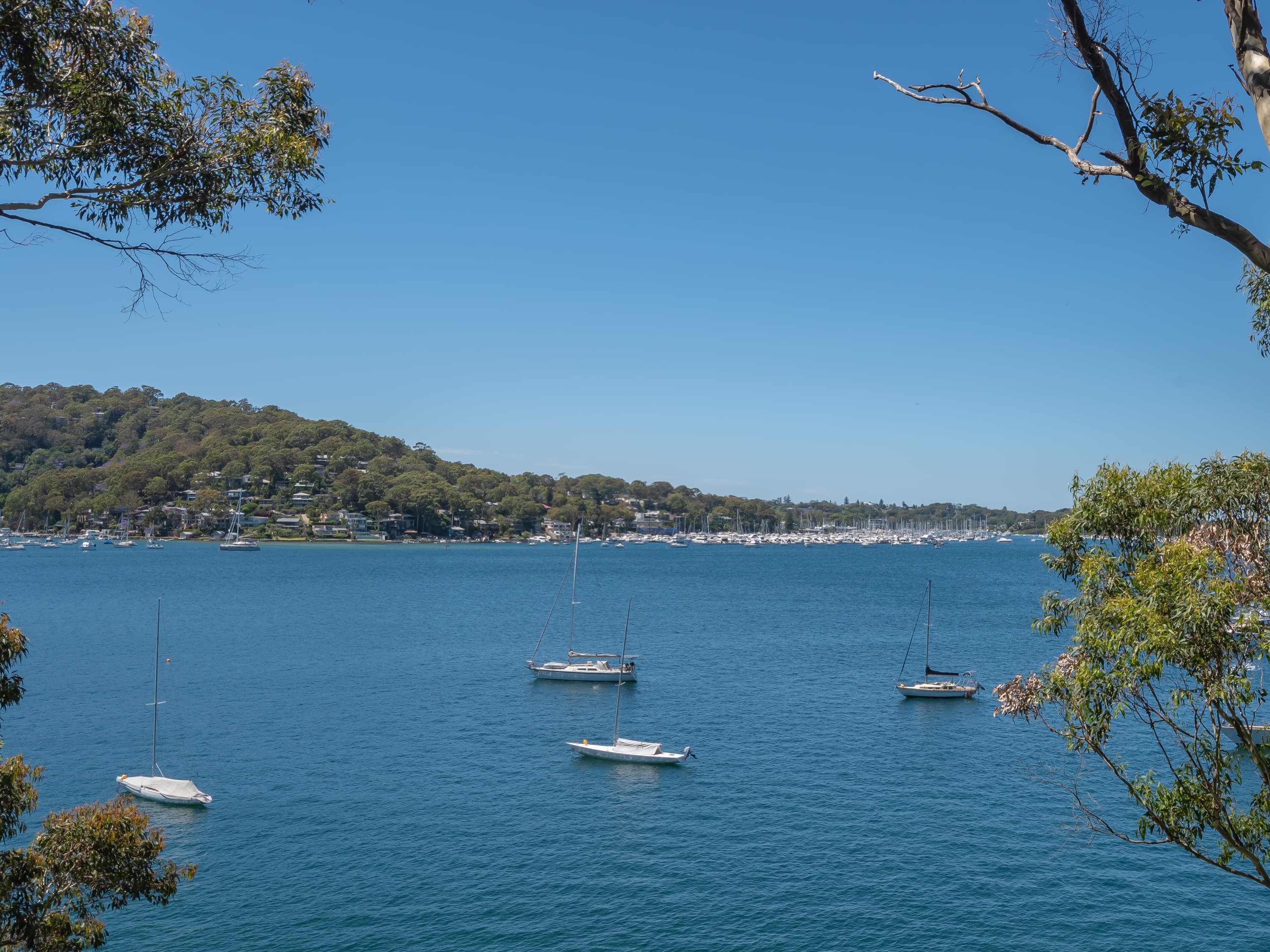 135 Florence Tce, Scotland Island NSW, Scotland Island - Thumbnail 3