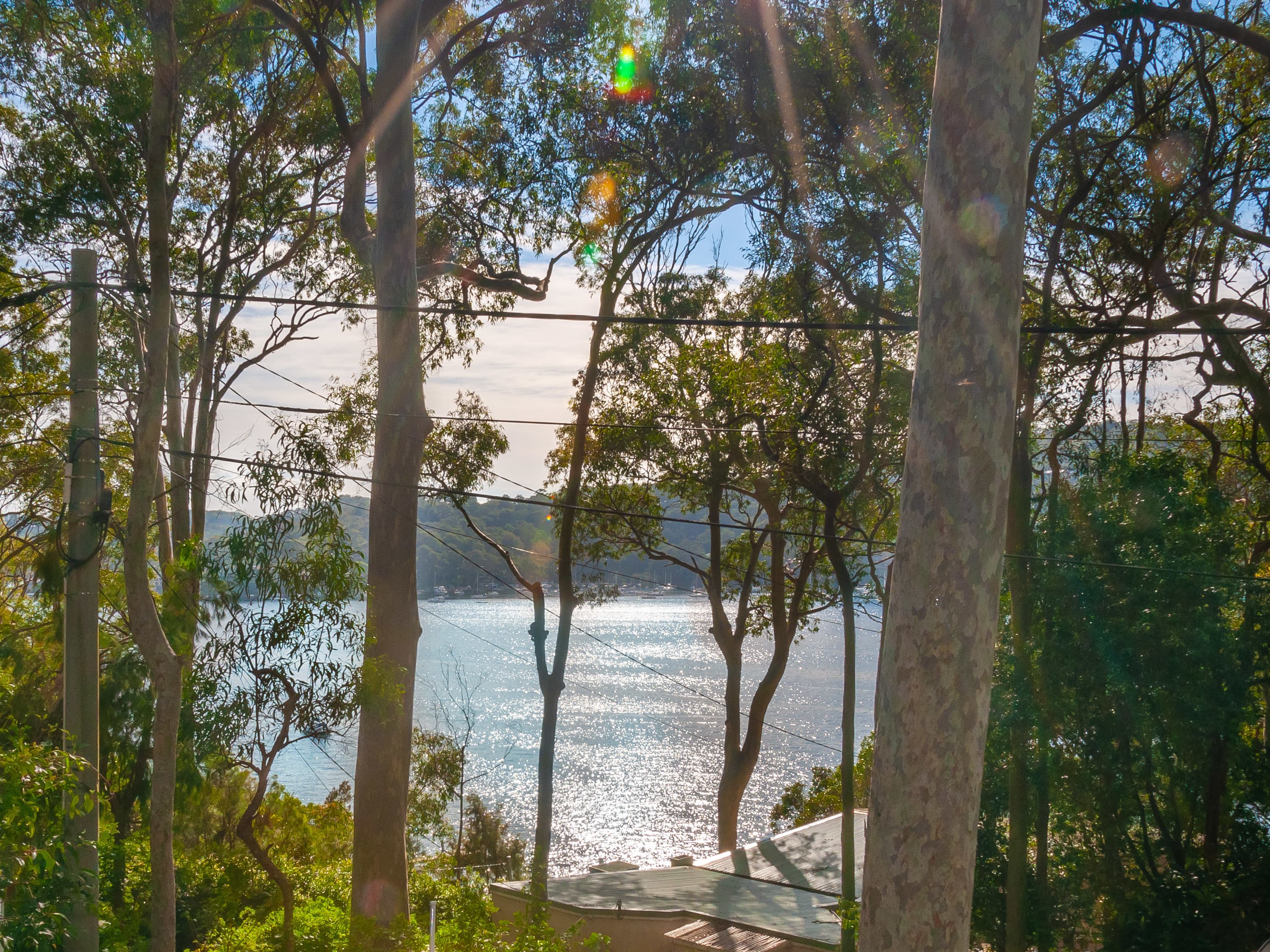 41 Thompson St, Scotland Island NSW, Scotland Island - Thumbnail 6