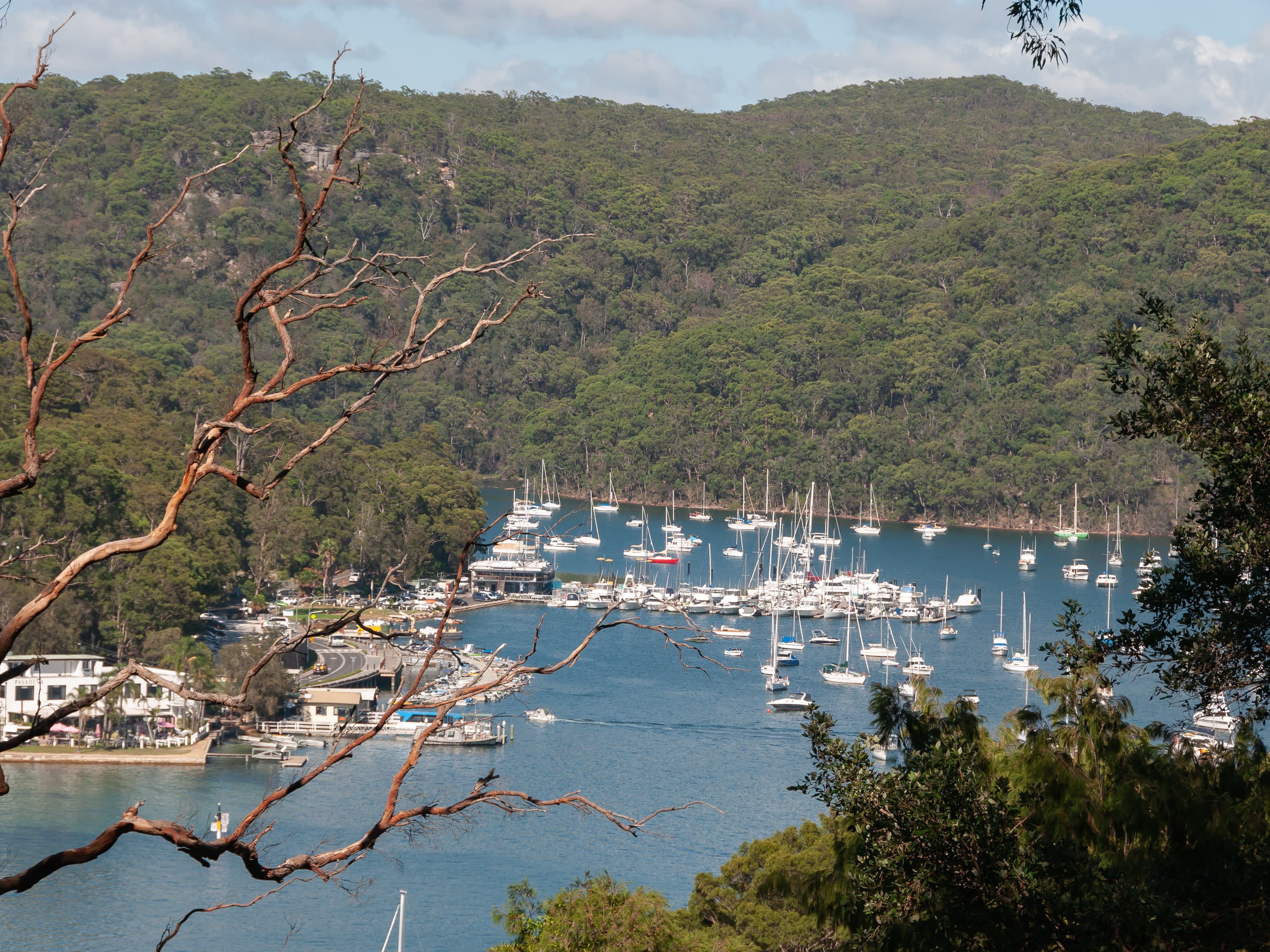 50 Thompson St, Scotland Island NSW, Scotland Island - Thumbnail 3