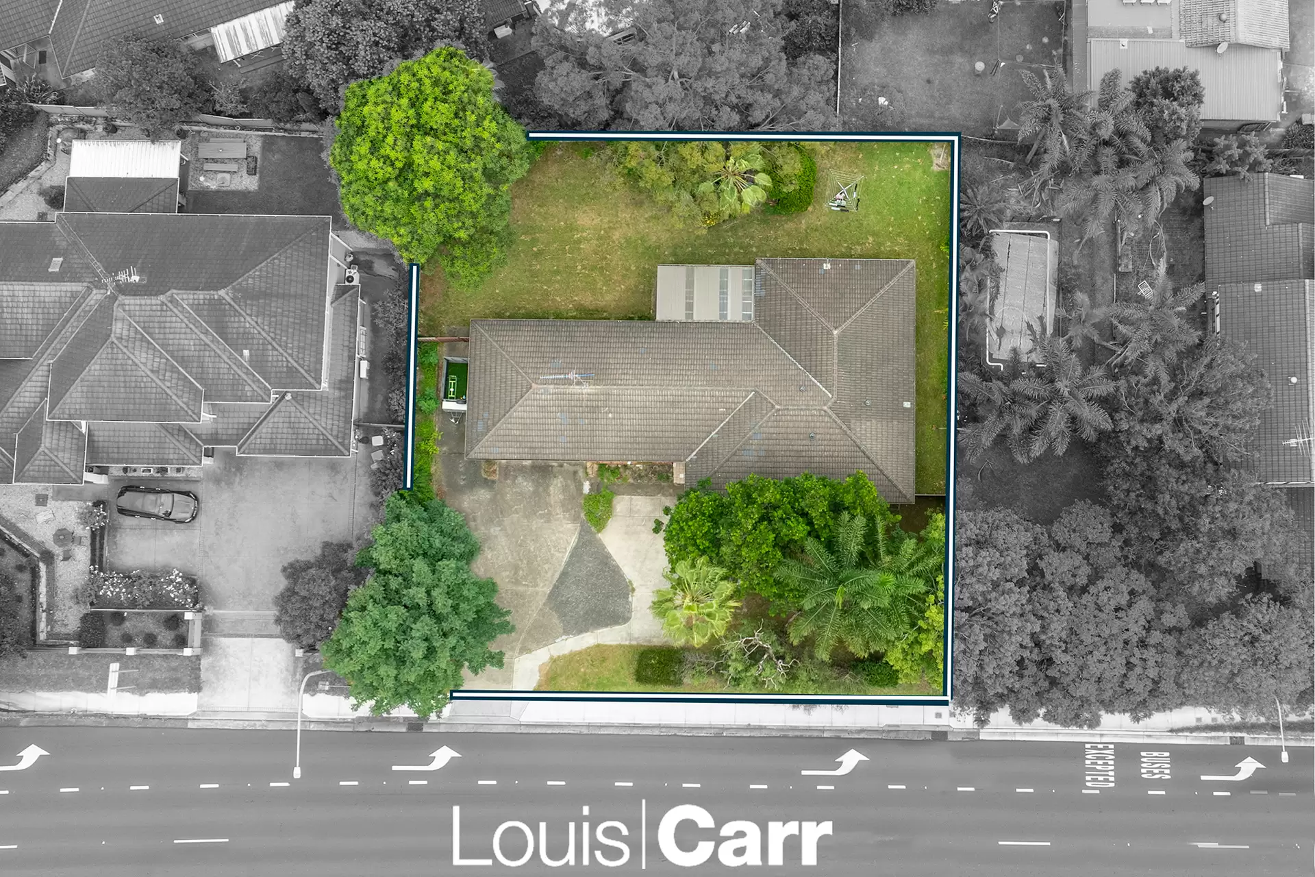 125 Showground Road, Castle Hill NSW, Castle Hill - Thumbnail 7