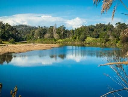 1167 Princes Highway, Kiah, NSW, 2551, Kiah - Thumbnail 8