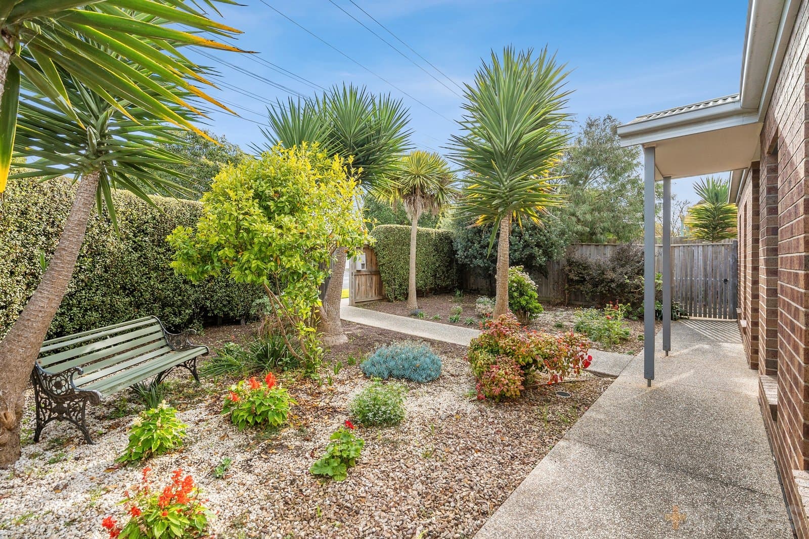 15 McCurdy Road, Herne Hill, VIC, 3218, Herne Hill - Thumbnail 8