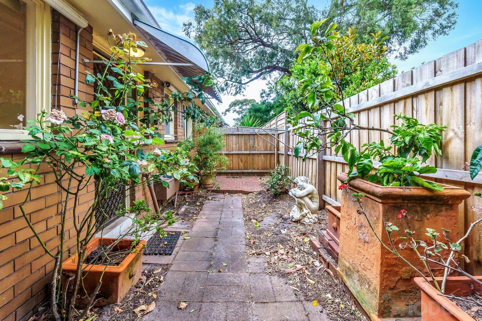 7 / 19a Gordon Street, Beaumaris, VIC, 3193, Beaumaris - Thumbnail 8
