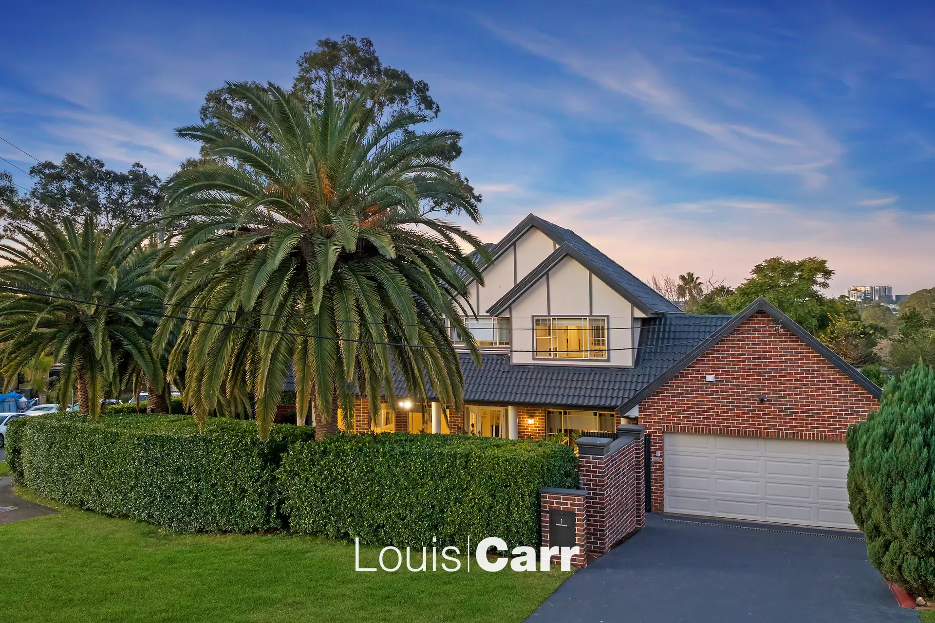 1 Excelsior Avenue, Castle Hill NSW, Castle Hill - Thumbnail 2