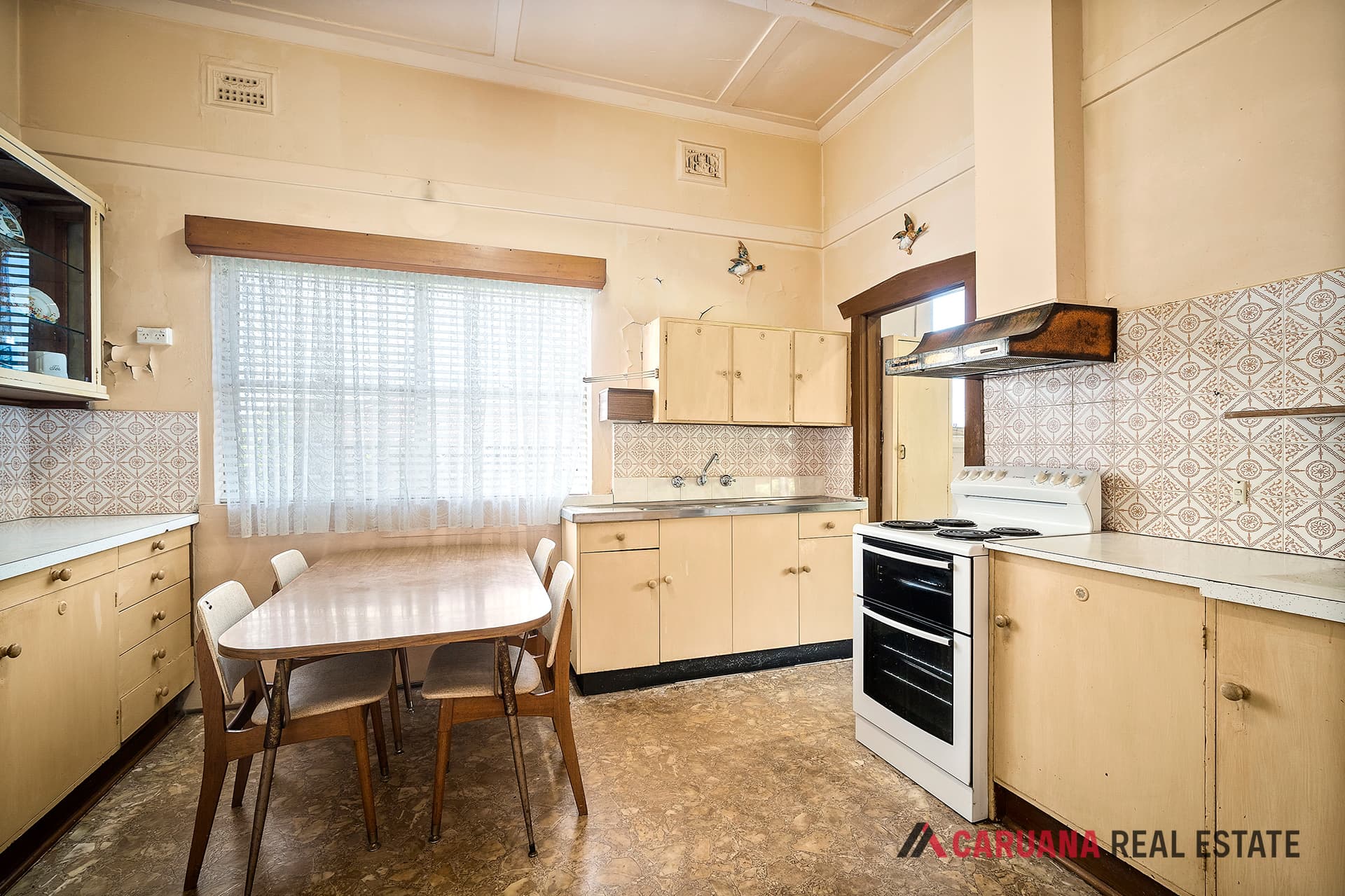 162 Frederick Street ROCKDALE NSW, Rockdale - Thumbnail 2