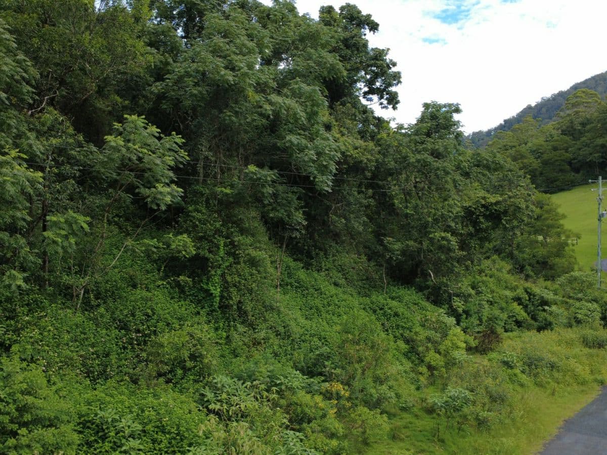 115 Copeland Road, GLOUCESTER, Gloucester - Thumbnail 3