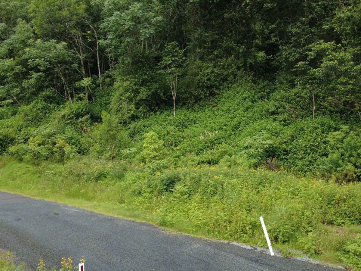 115 Copeland Road, GLOUCESTER, Gloucester - Thumbnail 4