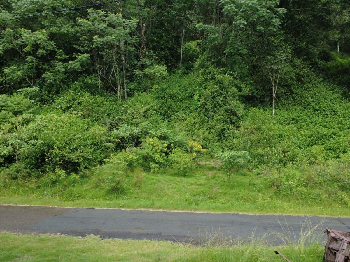 115 Copeland Road, GLOUCESTER, Gloucester - Thumbnail 5