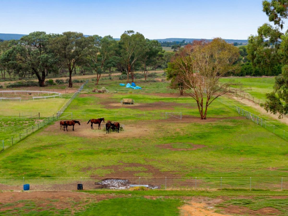334 Petersham Road, LEETON, Leeton - Thumbnail 4