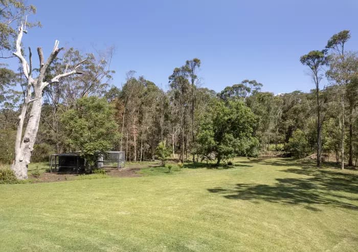 29 Wattlebird Dr, Doonan - Thumbnail 6
