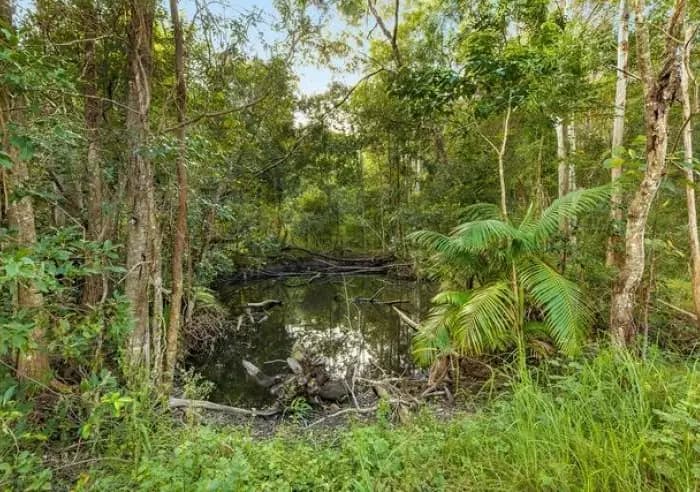 Lot 3, 107 Duke Rd - Thumbnail 6